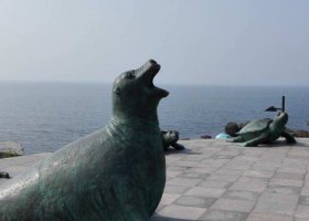 海邊海豹動物景觀銅雕 海豹雕塑動物體育動物園圖稿