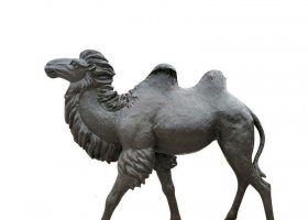 公園動(dòng)物銅雕駱駝 駱駝雕塑圖片形狀外國人河灘