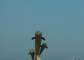 海豚戲水海邊景觀銅雕 海豚雕塑圖片建筑物管是植物