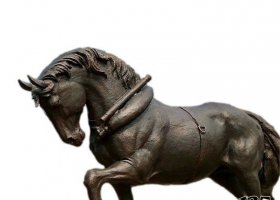 公園動(dòng)物銅雕馬 