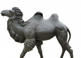 銅雕公園動物駱駝雕塑 駱駝雕塑廣場老人精神坐標(biāo)