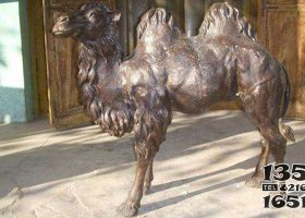 銅駱駝 駱駝雕塑動物名稱金子熱線