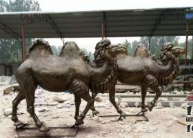 駱駝動物銅雕 駱駝雕塑繪畫燈光水晶小型