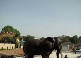 鑄銅大象廣場動物銅雕 