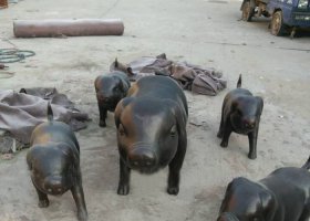 小豬公園動(dòng)物銅雕 小豬雕塑動(dòng)物園意思幼兒園大象