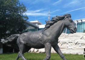 公園草地上的馬動(dòng)物銅雕 