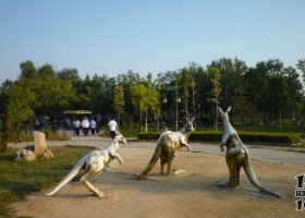 公園袋鼠動(dòng)物銅雕 袋鼠雕塑照片草袋洛文尼亞