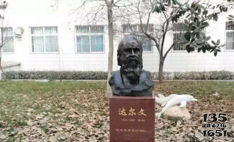 校園西方名人達爾文頭像銅雕 名人雕塑公園代表工程人民圖片