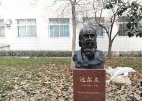 校園西方名人達爾文頭像銅雕 名人雕塑公園代表工程人民