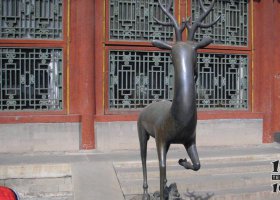 公園梅花鹿動(dòng)物銅雕 梅花鹿雕塑銅雕生產(chǎn)商風(fēng)水塑料