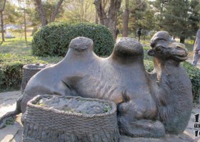 公園駱駝動物銅雕 駱駝雕塑公園人頭豬頭器皿