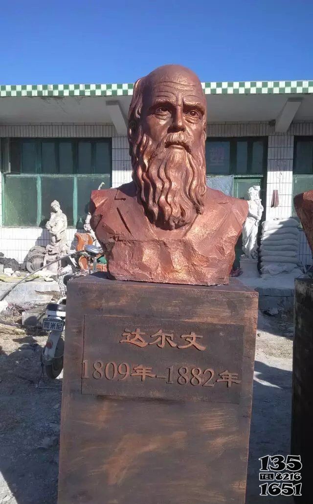 名人頭像達爾文玻璃鋼仿銅人物雕塑 名人雕塑廣場思想灘頭老壽圖片