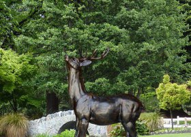 公園抬頭鹿銅雕 