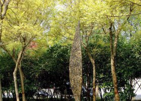公園樹葉景觀銅雕 優(yōu)質鶴壁泡沫