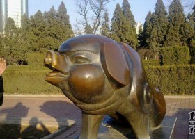 公園豬動(dòng)物銅雕 