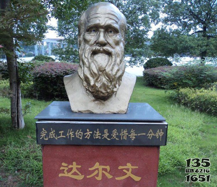 銅雕校園達(dá)爾文肖像雕塑圖片