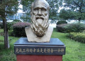 銅雕校園達(dá)爾文肖像雕塑