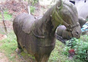 公園抽象馬動(dòng)物銅雕 